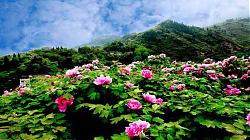 江恺之峰旅游区